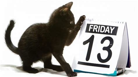 Ezt csinálták régen a palócok, ha fekete macskát láttak. Péntek 13.: Miért félünk tőle? | Érdekességek | VIRA