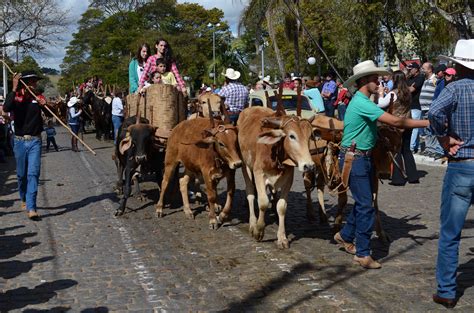 Maybe you would like to learn more about one of these? Desfile de Carros de Boi em Caldas, MG - Prefeitura ...