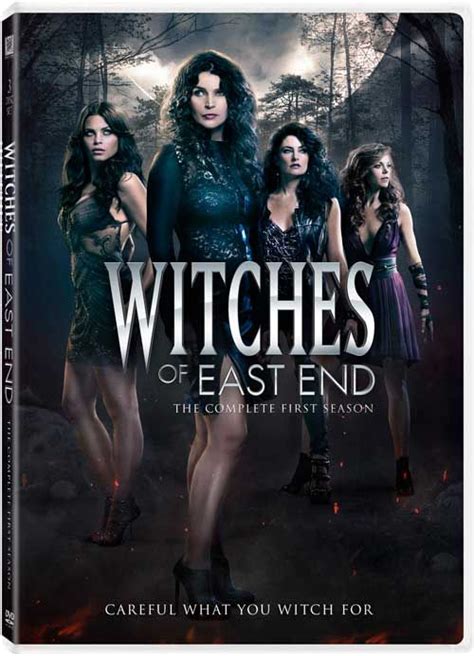 They, their mom and her sister, all witches, are up against a mortal enemy. Top 171 ideas about Witches of East End on Pinterest ...