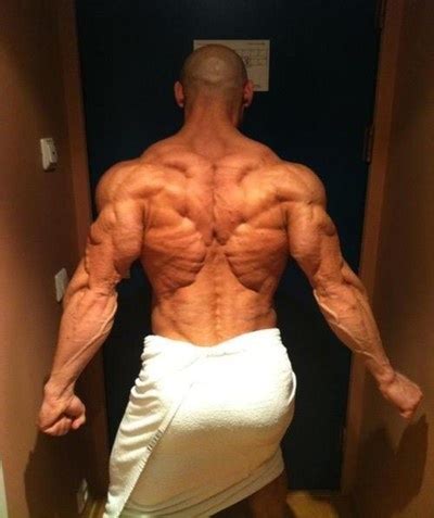 Terms in this set (14). Nice Back Muscle Reference | Reference - Various ...