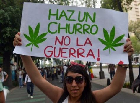 La historia de la marihuana en méxico se remonta a la llegada de los conquistadores españoles, que la en los años 20, cuando triunfa el gobierno revolucionario prohíbe la comercialización de la marihuana, es así como empieza el gran negocio del narcotráfico. Post: LA LEGALIZACION DE LA MARIHUANA EN MEXICO