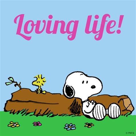 Loving life! Loving life and embracing it!! | Snoopy love, Snoopy ...