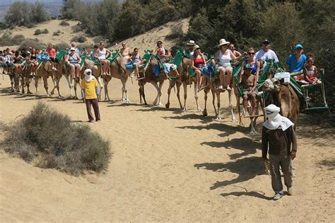 Gran canaria is one of the spanish canary islands , located off the coast of africa. Camel Riding In Maspalomas Dunes: Triphobo