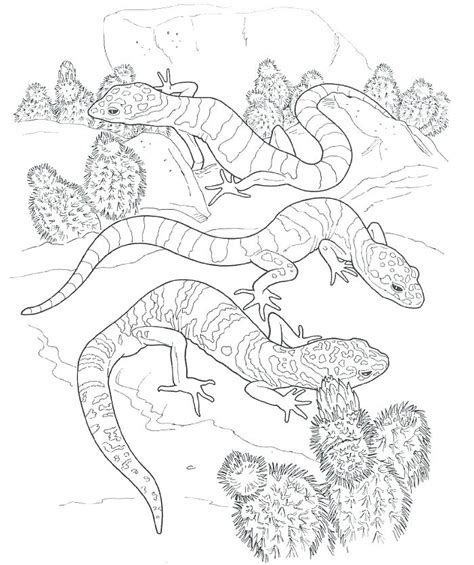 A leopard gecko morph is simply a variation in size, coloring, pattern, or other physical features of a leopard gecko. Leopard Gecko Coloring Pages at GetColorings.com | Free ...