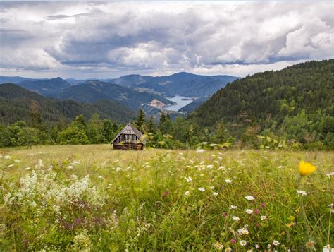 See the beauty of serbia! Putokaz - Nacionalni park Tara