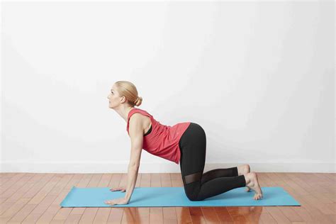 This is an excellent movement to do throughout pregnancy. How to Do Cat-Cow Stretch (Chakravakasana)