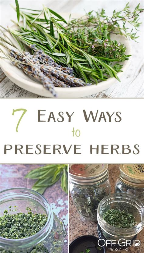 Sow okra seed in the garden 4 weeks after the average last frost date in spring. 7 Easy Ways To Preserve Herbs From Your Garden | Herbs ...