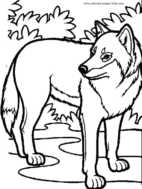 The timber wolf is found in canada and alaska and the northern united states in the rocky mountains, western great lakes, and the northeast on open prairies, in forests and mountainous regions. Wolf in the forrest color page | Wolf colors, Horse ...