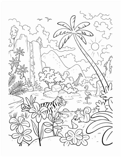 Rainforest layers the rainforest layers funny pictures. Tropical Rainforest Animal Coloring Pages for Kids in 2020 ...