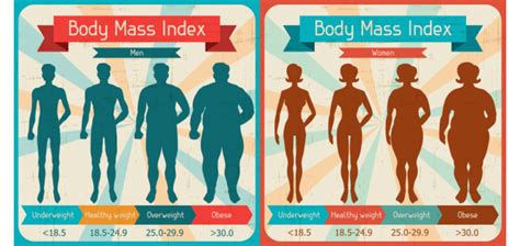 Are You at a Healthy Weight for a Senior? - Senior Fitness ...