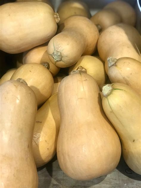 Now that you know how to peel butternut squash and how to prepare for the most delicious butternut squash recipes, here's how to prep this sweet squash for whole roasting. Butternut Squash | Little Bent Farm