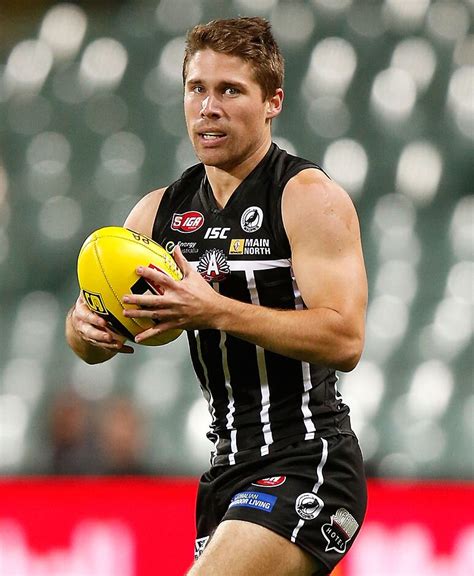 Like other members of their family, they are widely considered to be intelligent creatures. Eight Magpies sign for 2016 - portadelaidefc.com.au