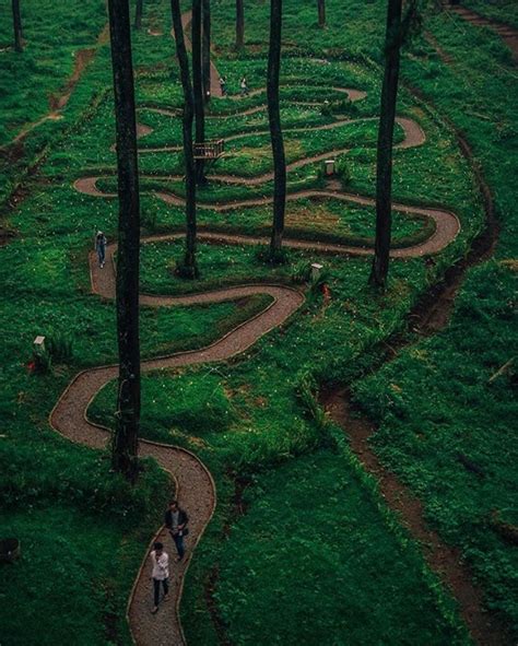 Orchid forest cikole, pilihan tepat untuk melaksanakan liburan di kawasan lembang. 10 SPOT FOTO KECE ORCHID FOREST CIKOLE BANDUNG