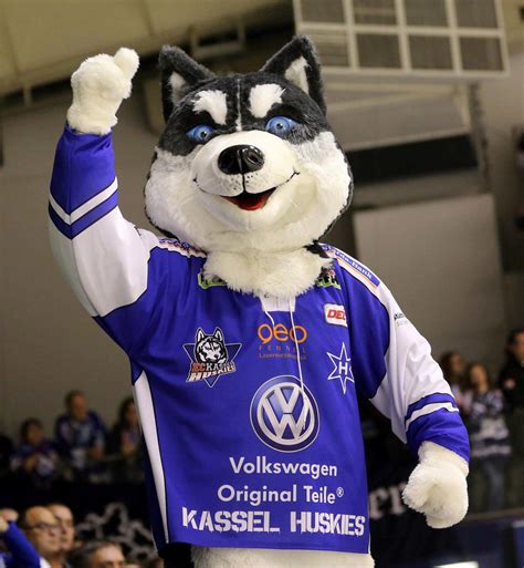 Heies wochenende den lwen steht ein heies wochenende bevor trotz. Auffälligkeiten beim Huskies-Auftakt: Maskottchen, Technik ...