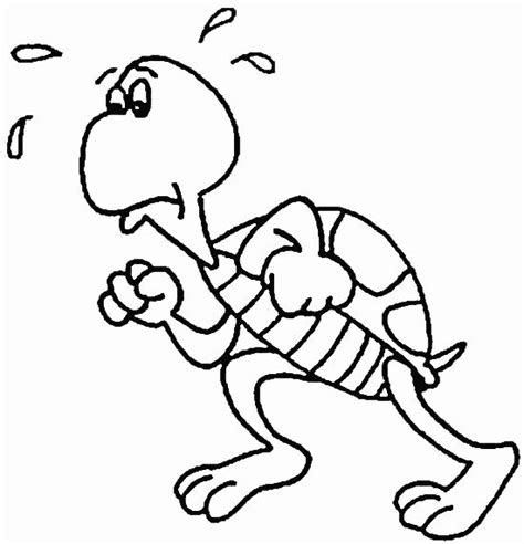Cartoon Turtle Coloring Pages - Cartoon Coloring Pages