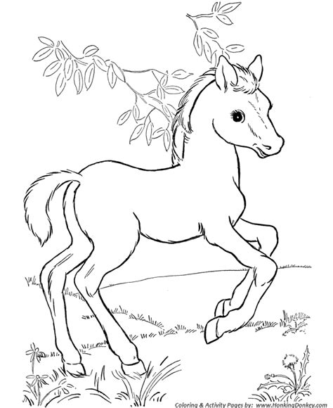 When autocomplete results are available use up and down arrows to review and enter to select. Horse coloring pages | The Sun Flower Pages