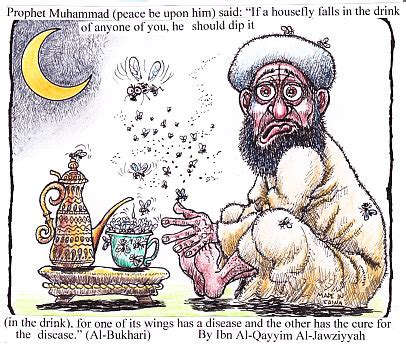 No one seemed to notice the camel's howls. health tips from Allah, Muhammad & Islam, camel urine, fly