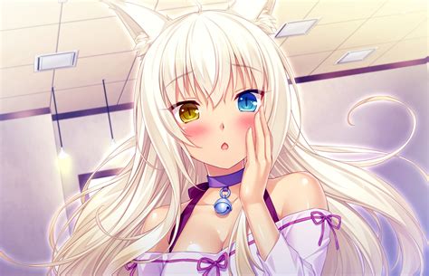 It's then wrapped in plastic and sold in a block. Coconut Nekopara Wallpaper (86+ images)