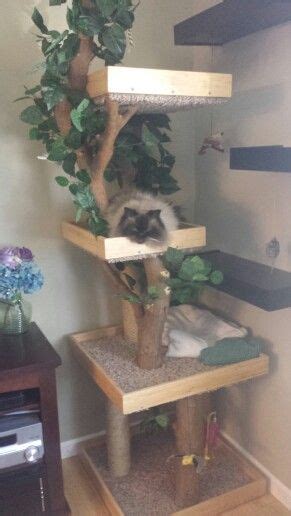 Check out these 10 diy cat tree plans made by creative cat parents. Homemade cat tree. Made from bamboo, malberry tree, and ...