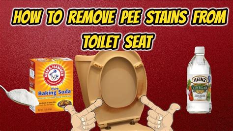 Mar 01, 2021 · method. how to clean urine stains from toilet seat | Brokeasshome.com