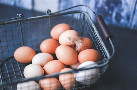 Kapan boleh berhubungan intim setelah persalinan normal? Tidak Boleh Sembarangan, ini Waktu Terbaik untuk Makan ...