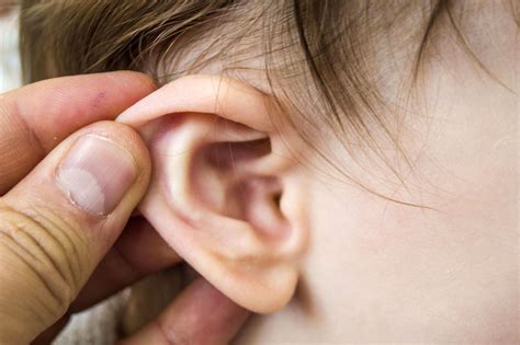 We did not find results for: Swimmer's Ear: The Other Ear Infection | Bard & Didriksen ...