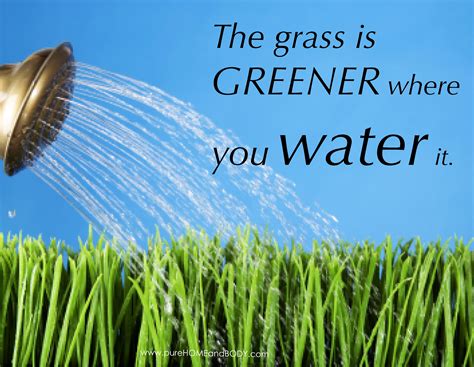 Grass is greener syndrome is when someone believes what they currently have is no longer on a subconscious level, for grass is greener syndrome to take place in a romantic relationship, one this is called a honeymoon period and it always fades out. Grass is always greener syndrome. Are You Suffering From "Grass-Is-Always-Greener" Syndrome In Love?