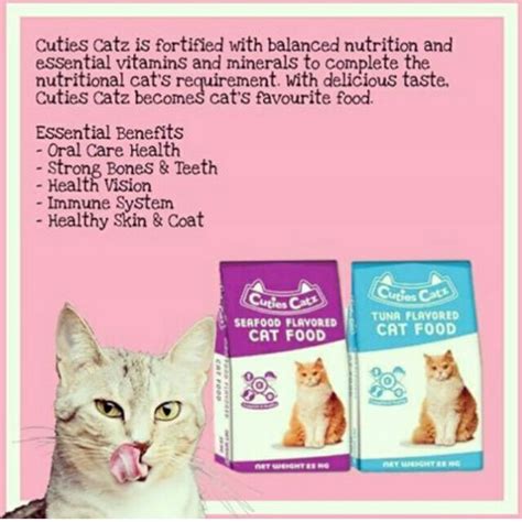 Is wet food better than dry food? CUTIES CATZ CAT DRY FOOD | Shopee Philippines