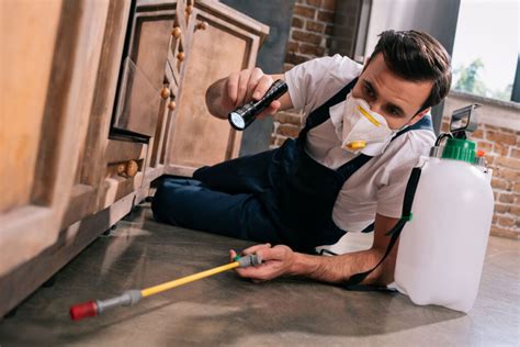 Specializing in general household pest control, commercial pest control & mosquito control. When to Call a Pest Control Expert in Austin - luxurystnd