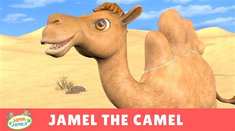 Camel caravan in the sahara desert. Jamel the Camel - Jamil and Jamila Songs for Kids - YouTube