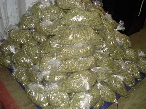 If not, is there anywhere that will buy it from me in us dollars? 12,000 pounds of Marijuana worth $95 million dollars ...
