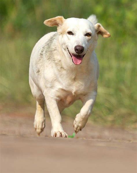 In addition our facility is equipped with 6 highly trained veterinarians, dentistry, and surgical suite. New Clients | Bird & Pet Clinic of Roseville