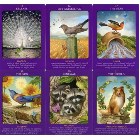 While it was designed as a tarot deck, i use a unique directional layout that i developed when i first got the deck. Animal Tarot Cards - LT Tarot