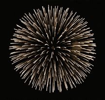 Created with pictures to gif maker. feu d artifice Image, GIF animé