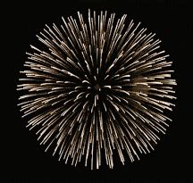 1 photo + texte perso. feu d artifice Image, GIF animé