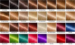 Hair Color Chart Lace Front Wig Shop