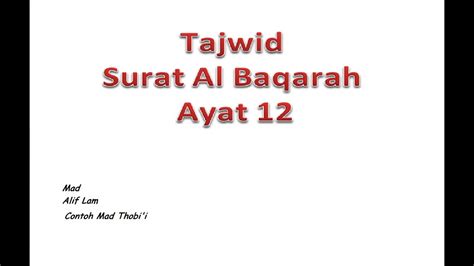 Select qari qari 1 qari 2 qari 3 qari 4. Tajwid Surat Al Baqarah Ayat 12 - YouTube