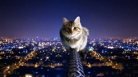 Best Windows 10 Wallpaper HD 1920×1080 | HD Wallpapers , HD Backgrounds,Tumblr Backgrounds ...