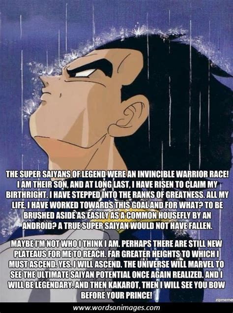 Vegeta, the prince of all saiyans is full of thought provoking lines throughout the dbz series. Dragon Ball Z Vegeta Quotes. QuotesGram