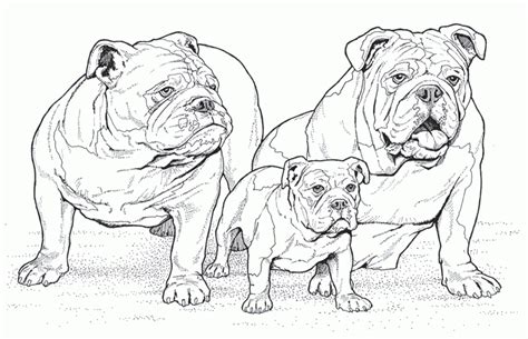 300x300 printable dog coloring pages that are hard. Dogs Coloring Pages Difficult Adult - Coloring Home