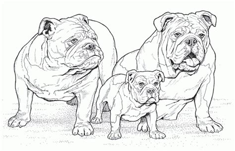 Print, color and enjoy these dog coloring pages! Dogs Coloring Pages Difficult Adult - Coloring Home