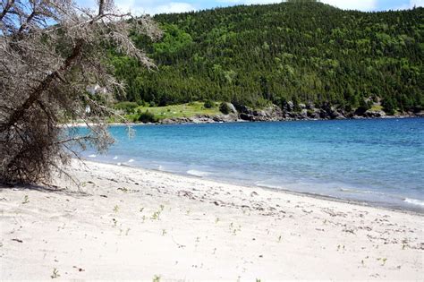 Maybe you would like to learn more about one of these? My Dark Cove Pantry: Sandy Cove Beach