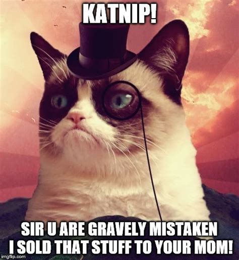 Your daily dose of fun! Grumpy Cat Top Hat Meme - Imgflip