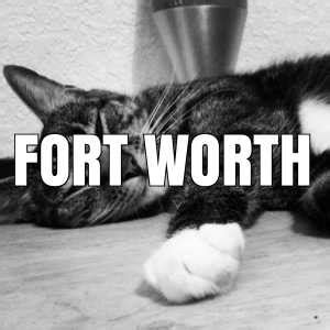Последние твиты от low cost vet mobile (@petnewstv). Homepage in Dallas - Fort Worth, TX - Low Cost Pet Vax