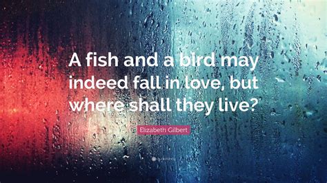 Collection of quotes from elizabeth gilbert. Elizabeth Gilbert Quote: "A fish and a bird may indeed fall in love, but where shall they live?"