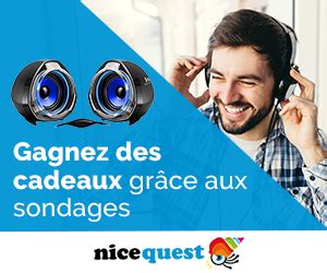 The number of 'shells' you have and whether or not you have pending surveys. Nouveau site de sondages rémunérés : NiceQuest - Tests et ...