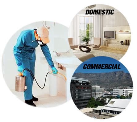 Just fill in the get email alerts form. Pest Control Cape Town | VERM-X | Affordable Fumigation ...