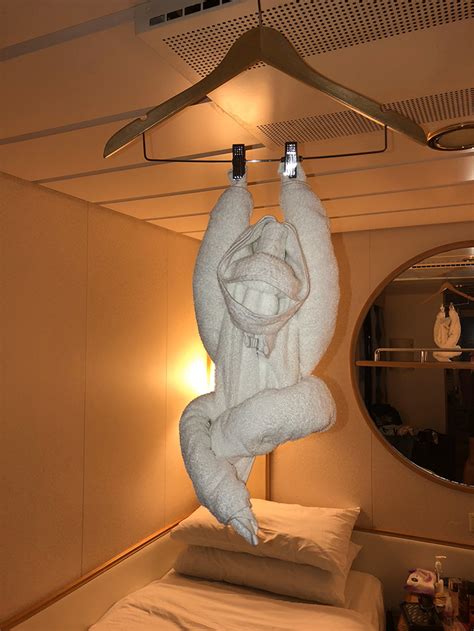 Easy towel origami that can be used as a towel decoration on. funny-folded-towel-art-in-hotels-5e57b563de179__700