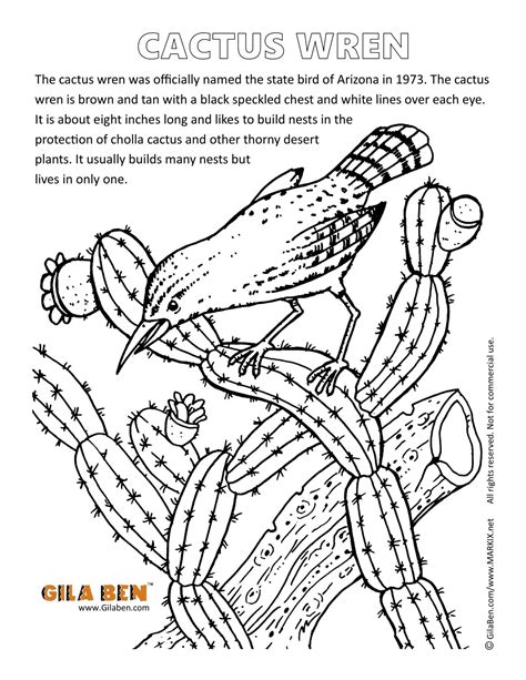 Saguaro cactus coloring page from cactus category. Cactus Wren Coloring Page Printout | Flower coloring pages ...