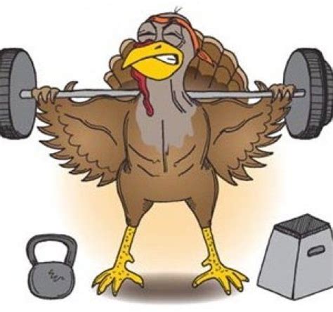 They mentioned that when the weather gets cold turkeys put on extra weight to keep themselves warm. turkey-weightlifting | Thanksgiving fitness, Gym memes ...